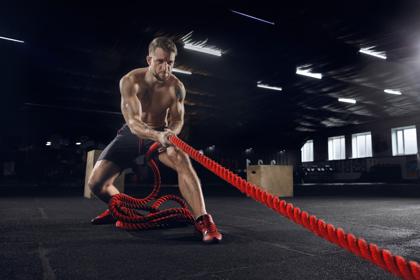 Read more about the article Things to Keep in Mind During Your Gym Workouts
